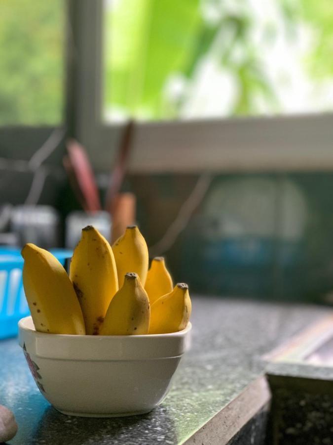 Villa Manoir 昂斯拉齐奥 外观 照片